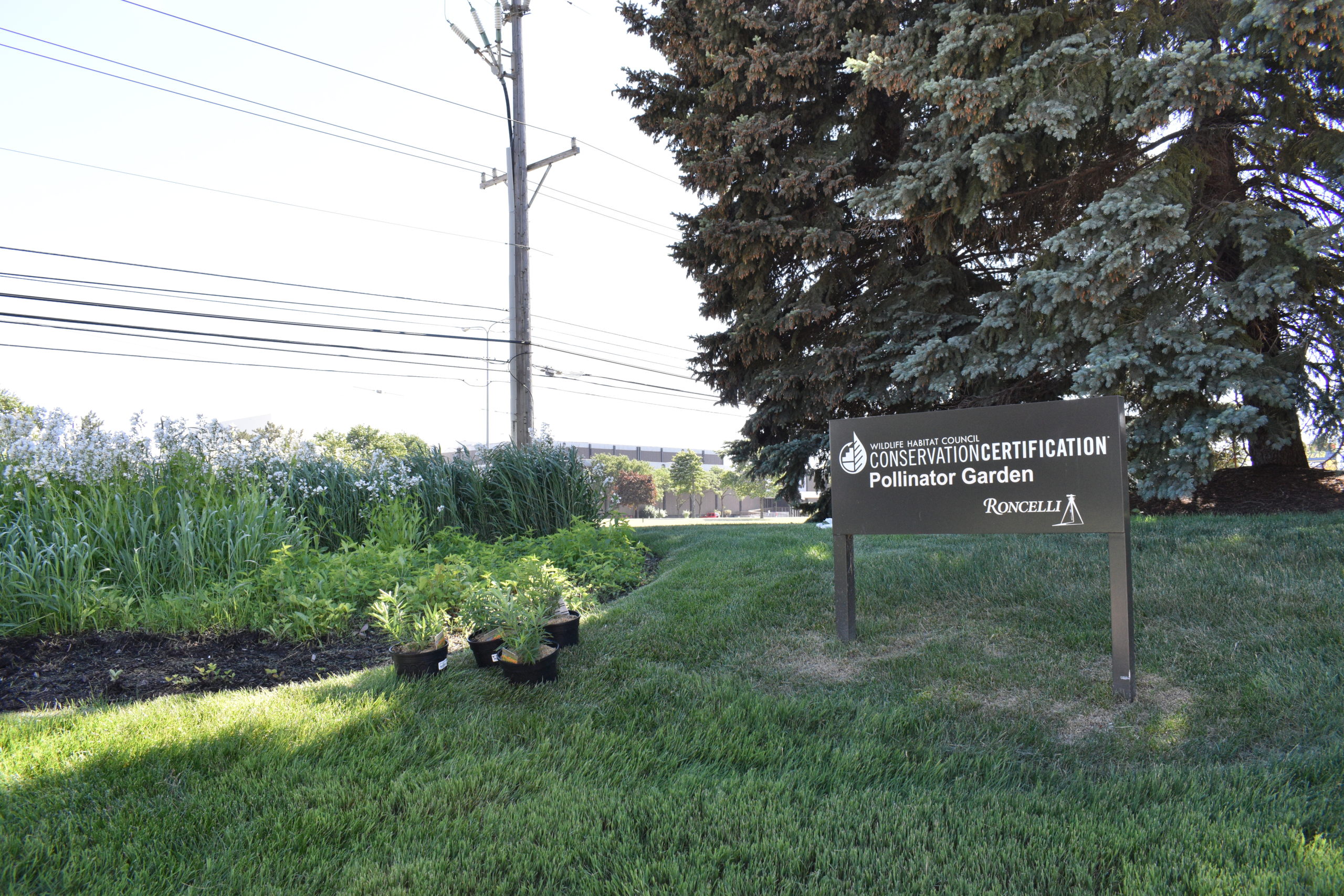 The Wildlife Habitat Council Conservation Certification Pollinator Garden sign and garden at Roncelli's headquarters in Sterling Heights, Mich.