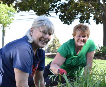 Roncelli team members working on the Roncelli pollinator garden.