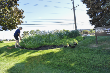 Vicky working in the pollinator garden